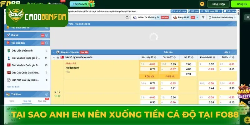 Tại sao anh em nên xuống tiền cá độ tại Fo88 mà không phải nơi khác?